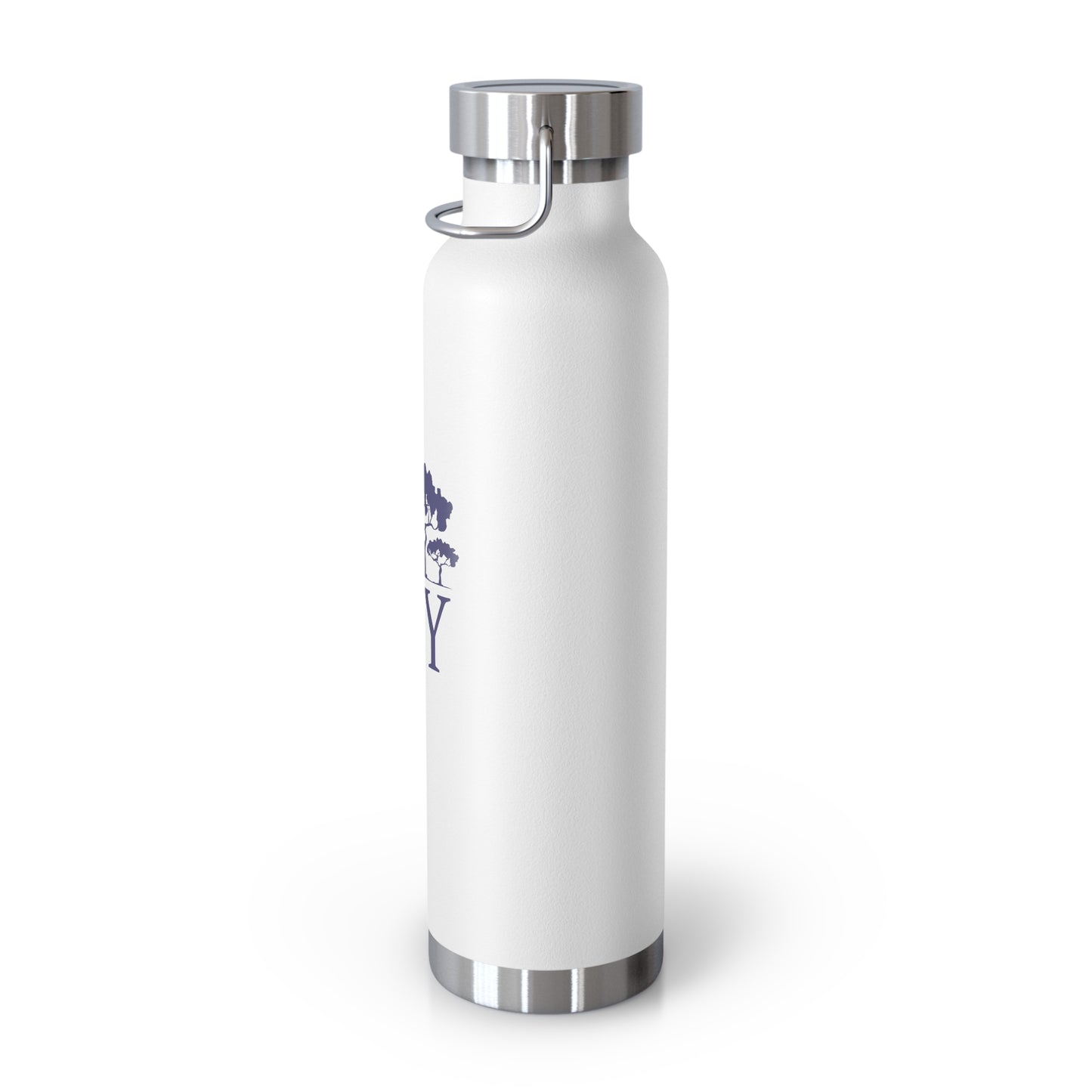 Copper Vacuum Insulated Bottle, 22oz